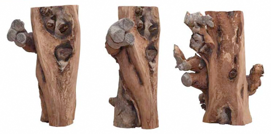 El bosque de Polifilo