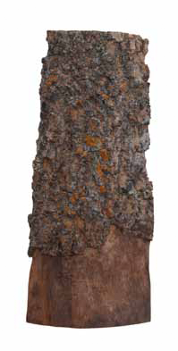 Costero de fresno con textura de roca